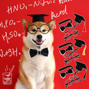 1 Set Pet Graduation Suit Adorable Adjustable with Tassel Felt Pet Cats Dogs Cosplay Hat Collar Glasses Set Pet Accessories