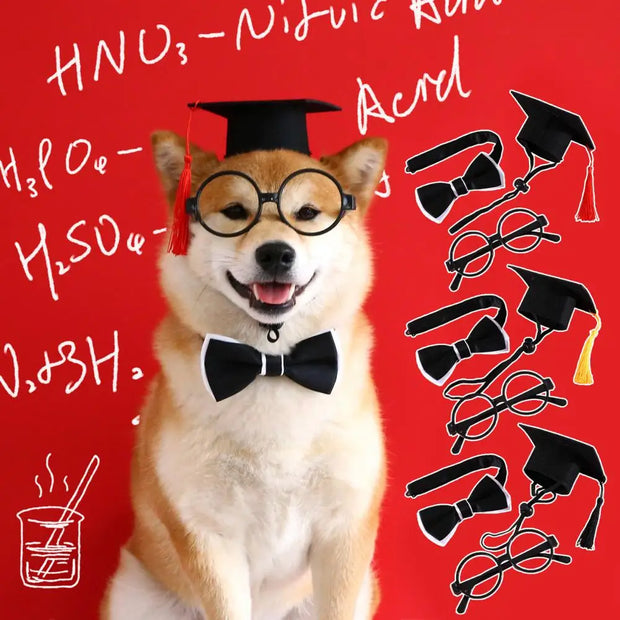 1 Set Pet Graduation Suit Adorable Adjustable with Tassel Felt Pet Cats Dogs Cosplay Hat Collar Glasses Set Pet Accessories