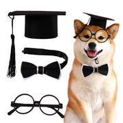 1 Set Pet Graduation Suit Adorable Adjustable with Tassel Felt Pet Cats Dogs Cosplay Hat Collar Glasses Set Pet Accessories
