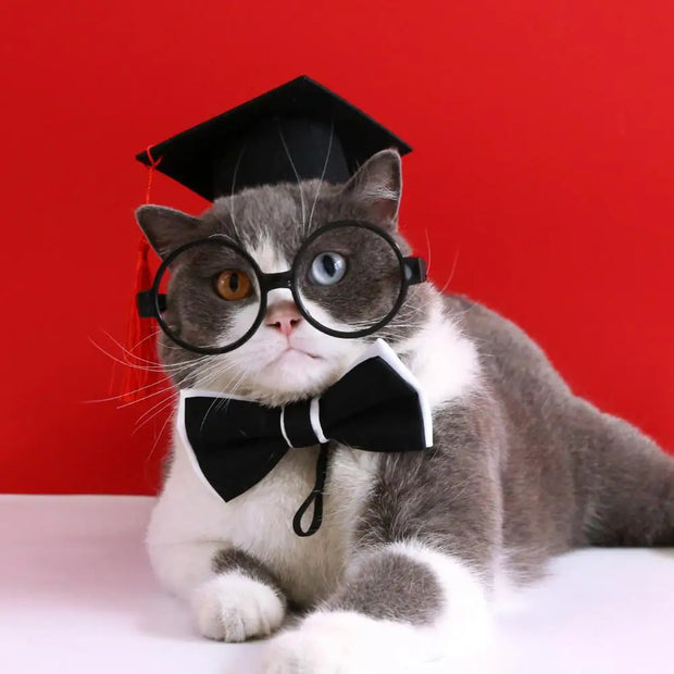 1 Set Pet Graduation Suit Adorable Adjustable with Tassel Felt Pet Cats Dogs Cosplay Hat Collar Glasses Set Pet Accessories
