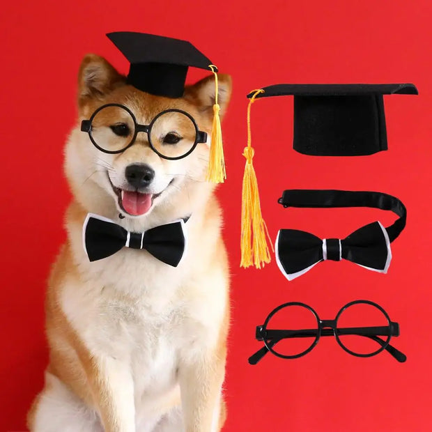 1 Set Pet Graduation Suit Adorable Adjustable with Tassel Felt Pet Cats Dogs Cosplay Hat Collar Glasses Set Pet Accessories